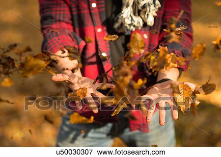 Young man throwing autumn leaves in air, mid section View Large Photo Image Stock Photo - Young man throwing autumn leaves in air, mid section. Fotosearch