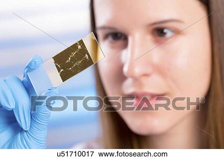 Young woman holding microscope slide View Large Photo Image Stock Photo - Young woman holding microscope slide. Fotosearch