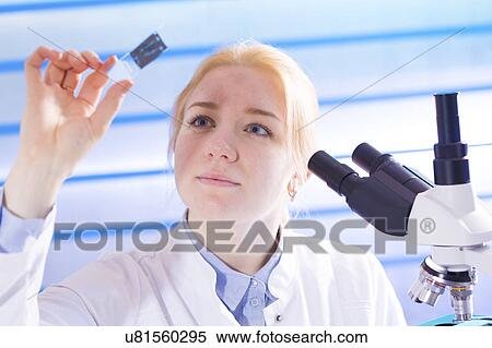 Young woman holding microscope slide View Large Photo Image Stock Photography - Young woman holding microscope slide. Fotosearch