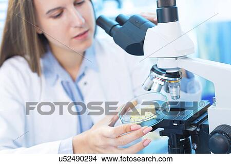 Picture - Young woman in food quality control laboratory. Fotosearch