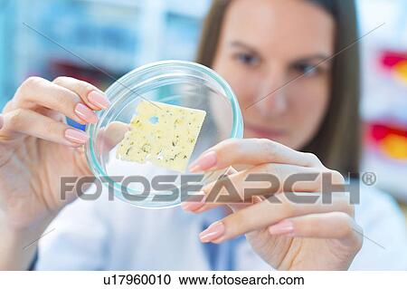 Stock Image - Young woman in food quality control laboratory. Fotosearch