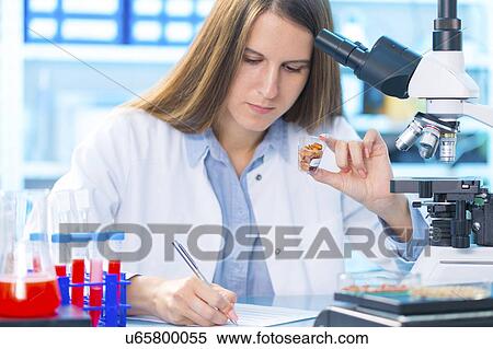 Young woman in food quality control laboratory View Large Photo Image Stock Photography - Young woman in food quality control laboratory. Fotosearch
