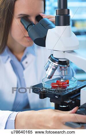 Stock Photography - Young woman in food quality control laboratory. Fotosearch