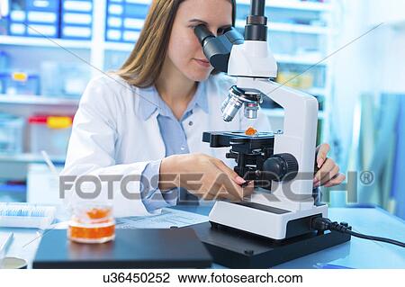Stock Image - Young woman using microscope. Fotosearch