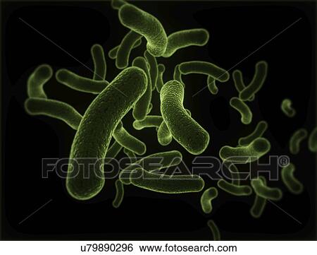 Bacteria against a black background, illustration. View Large Photo Image Stock Photograph - Bacteria against a black background, illustration.. Fotosearch