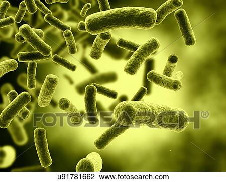 Bacterium, illustration. View Large Photo Image Stock Image - Bacterium, illustration.. Fotosearch
