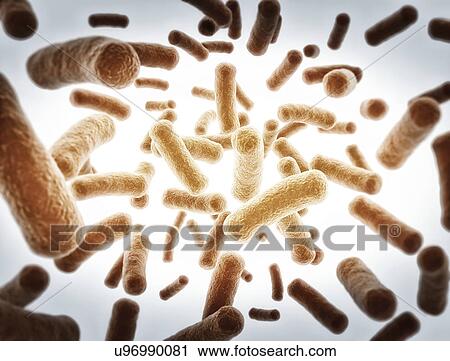 Stock Image - Bacterium, illustration.. Fotosearch