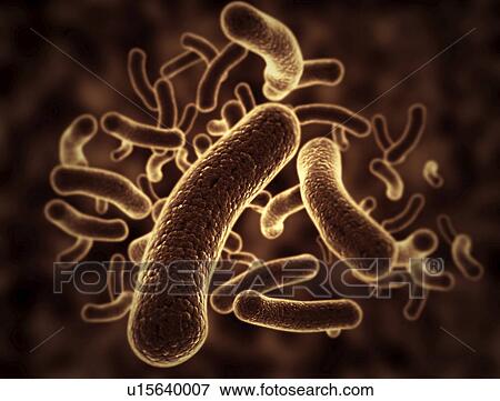 Bacterium, illustration. View Large Photo Image Stock Photo - Bacterium, illustration.. Fotosearch