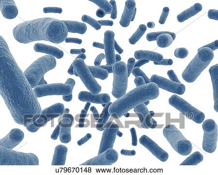 Stock Photo - Bacterium, illustration.. Fotosearch