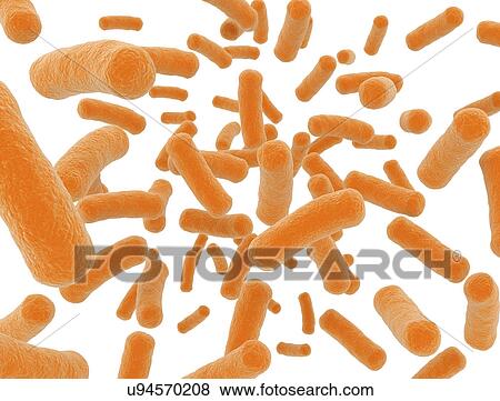 Bacterium, illustration. View Large Photo Image Stock Photo - Bacterium, illustration.. Fotosearch