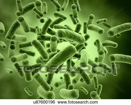 Bacterium, illustration. View Large Photo Image Stock Photograph - Bacterium, illustration.. Fotosearch