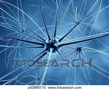 Brain nerve cells, illustration. View Large Photo Image Stock Photography - Brain nerve cells, illustration.. Fotosearch