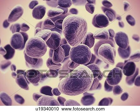 Cancer cells, illustration. View Large Photo Image Stock Image - Cancer cells, illustration.. Fotosearch