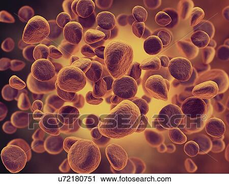 Stock Image - Cancer cells, illustration.. Fotosearch