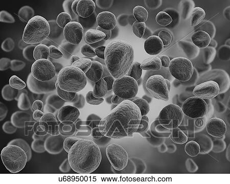 Stock Photography - Cancer cells, illustration.. Fotosearch