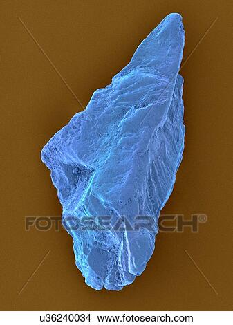 Picture - Coloured scanning electron micrograph (SEM) of an uncut sapphire. Sapphire is a typically blue gemstone variety of the mineral corundum (aluminium oxide). Sapphire is very dense and very hard. Non-gem quality sapphire is often used as an industrial.... Fotosearch