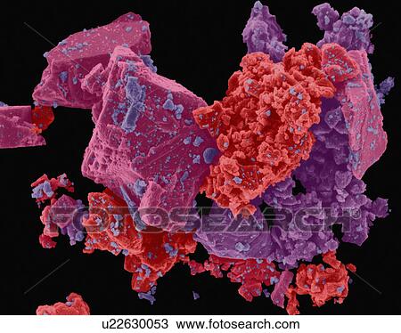 Stock Image - Coloured scanning electron micrograph (SEM) of Ajax cleaner. Ajax cleanser is a brand of cleaning products, introduced by Colgate-Palmolive in 1947. It is a powdered household and industrial cleaner used for cleaning a variety of products and.... Fotosearch