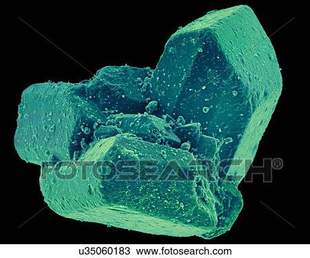 Coloured scanning electron micrograph (SEM) of Table sugar (sucrose) crystals. Sucrose, or common table sugar (also called saccharose), is a disaccharide that consists of two component monosaccharidesglucose and fructose. It is best known for its role... View Large Photo Image Stock Image - Coloured scanning electron micrograph (SEM) of Table sugar (sucrose) crystals. Sucrose, or common table sugar (also called saccharose), is a disaccharide that consists of two component monosaccharidesglucose and fructose. It is best known for its role.... Fotosearch