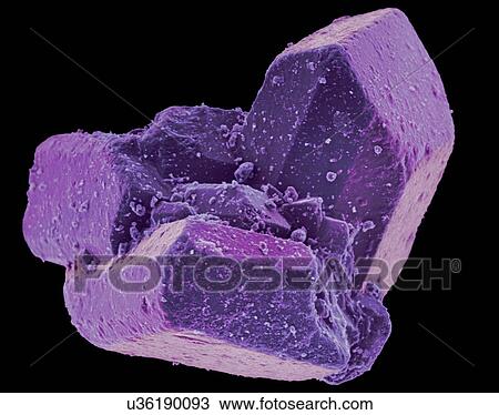 Coloured scanning electron micrograph (SEM) of Table sugar (sucrose) crystals. Sucrose, or common table sugar (also called saccharose), is a disaccharide that consists of two component monosaccharidesglucose and fructose. It is best known for its role... View Large Photo Image Stock Image - Coloured scanning electron micrograph (SEM) of Table sugar (sucrose) crystals. Sucrose, or common table sugar (also called saccharose), is a disaccharide that consists of two component monosaccharidesglucose and fructose. It is best known for its role.... Fotosearch