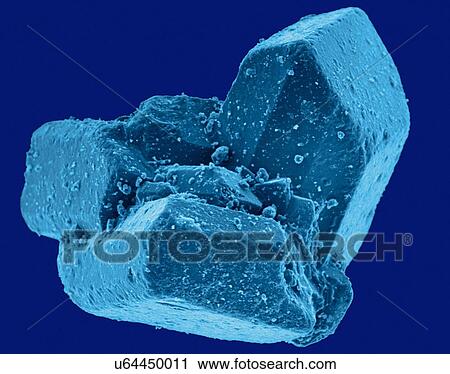 Stock Image - Coloured scanning electron micrograph (SEM) of Table sugar (sucrose) crystals. Sucrose, or common table sugar (also called saccharose), is a disaccharide that consists of two component monosaccharidesglucose and fructose. It is best known for its role.... Fotosearch