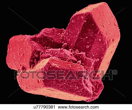 Stock Image - Coloured scanning electron micrograph (SEM) of Table sugar (sucrose) crystals. Sucrose, or common table sugar (also called saccharose), is a disaccharide that consists of two component monosaccharidesglucose and fructose. It is best known for its role.... Fotosearch