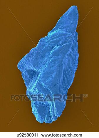 Coloured scanning electron micrograph (SEM) of an uncut sapphire. Sapphire is a typically blue gemstone variety of the mineral corundum (aluminium oxide). Sapphire is very dense and very hard. Non-gem quality sapphire is often used as an industrial... View Large Photo Image Stock Image - Coloured scanning electron micrograph (SEM) of an uncut sapphire. Sapphire is a typically blue gemstone variety of the mineral corundum (aluminium oxide). Sapphire is very dense and very hard. Non-gem quality sapphire is often used as an industrial.... Fotosearch
