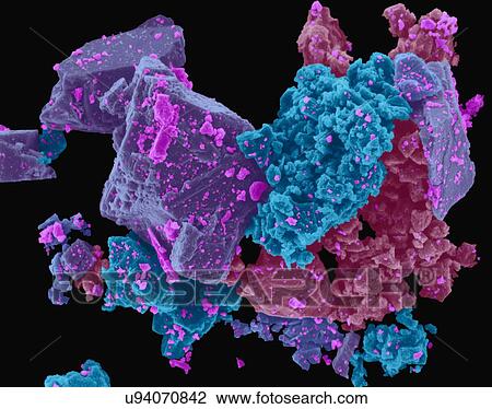 Coloured scanning electron micrograph (SEM) of Ajax cleaner. Ajax cleanser is a brand of cleaning products, introduced by Colgate-Palmolive in 1947. It is a powdered household and industrial cleaner used for cleaning a variety of products and... View Large Photo Image Stock Image - Coloured scanning electron micrograph (SEM) of Ajax cleaner. Ajax cleanser is a brand of cleaning products, introduced by Colgate-Palmolive in 1947. It is a powdered household and industrial cleaner used for cleaning a variety of products and.... Fotosearch