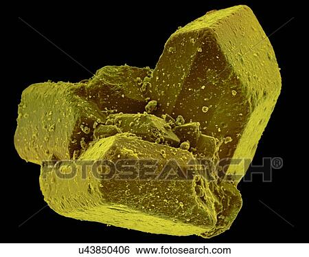 Coloured scanning electron micrograph (SEM) of Table sugar (sucrose) crystals. Sucrose, or common table sugar (also called saccharose), is a disaccharide that consists of two component monosaccharidesglucose and fructose. It is best known for its role... View Large Photo Image Stock Photograph - Coloured scanning electron micrograph (SEM) of Table sugar (sucrose) crystals. Sucrose, or common table sugar (also called saccharose), is a disaccharide that consists of two component monosaccharidesglucose and fructose. It is best known for its role.... Fotosearch