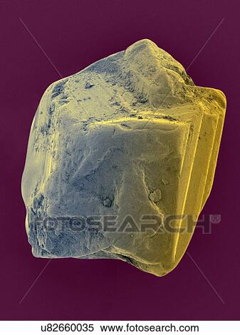 Coloured scanning electron micrograph (SEM) of an uncut sapphire. Sapphire is a typically blue gemstone variety of the mineral corundum (aluminium oxide). Sapphire is very dense and very hard. Non-gem quality sapphire is often used as an industrial... View Large Photo Image Stock Photography - Coloured scanning electron micrograph (SEM) of an uncut sapphire. Sapphire is a typically blue gemstone variety of the mineral corundum (aluminium oxide). Sapphire is very dense and very hard. Non-gem quality sapphire is often used as an industrial.... Fotosearch