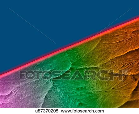 Stock Photography - Coloured scanning electron micrograph (SEM) of Edge of a new razor blade (seamless double edge). A razor blade is a thin, sharp-edged piece of steel that can be fitted into a razor. It is used for shaving body hair. Magnification: x575 when shortest.... Fotosearch
