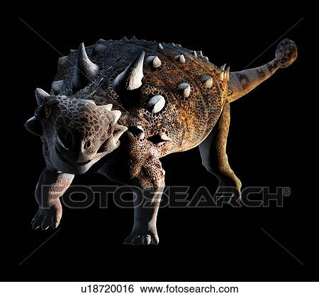 Stock Photograph - Computer illustration of an Euoplocephalus sp. dinosaur. This herbivorous armoured dinosaur lived during the Late Cretaceous Period (around 100 to 66 million years ago), in what is now Canada. It reached lengths of around 5 to 6 metres and weighed.... Fotosearch