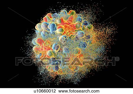 Stock Image - Destruction of hepatitis B virus, computer illustration. Conceptual image for hepatitis B treatment and prevention.. Fotosearch