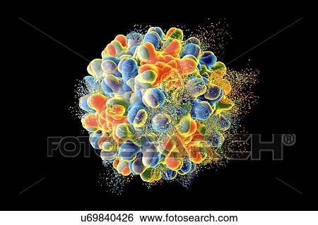 Stock Photograph - Destruction of hepatitis B virus, computer illustration. Conceptual image for hepatitis B treatment and prevention.. Fotosearch