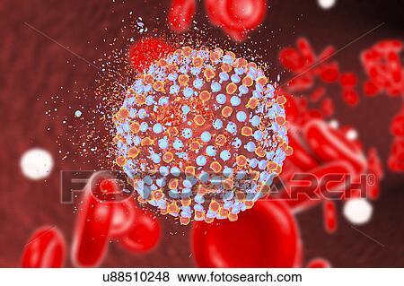 Stock Photo - Destruction of hepatitis C virus, computer illustration. Conceptual image for hepatitis C treatment and prevention.. Fotosearch