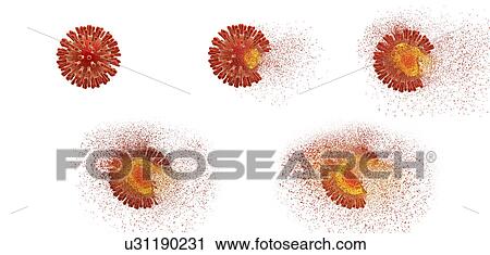 Stock Image - Destruction of Human Immunodeficiency Virus (HIV), computer illustration. Conceptual image for HIV-infection and AIDS treatment and prevention showing stages of viral destruction.. Fotosearch