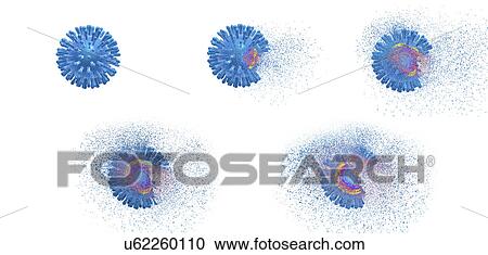 Destruction of Human Immunodeficiency Virus (HIV), computer illustration. Conceptual image for HIV-infection and AIDS treatment and prevention. View Large Photo Image Stock Image - Destruction of Human Immunodeficiency Virus (HIV), computer illustration. Conceptual image for HIV-infection and AIDS treatment and prevention.. Fotosearch