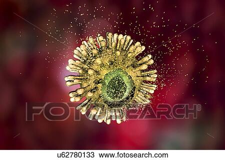 Destruction of Human Immunodeficiency Virus (HIV), computer illustration. Conceptual image for HIV-infection and AIDS treatment and prevention. View Large Photo Image Stock Image - Destruction of Human Immunodeficiency Virus (HIV), computer illustration. Conceptual image for HIV-infection and AIDS treatment and prevention.. Fotosearch