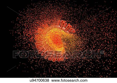 Stock Photo - Destruction of Human Immunodeficiency Virus (HIV), computer illustration. Conceptual image for HIV-infection and AIDS treatment and prevention.. Fotosearch