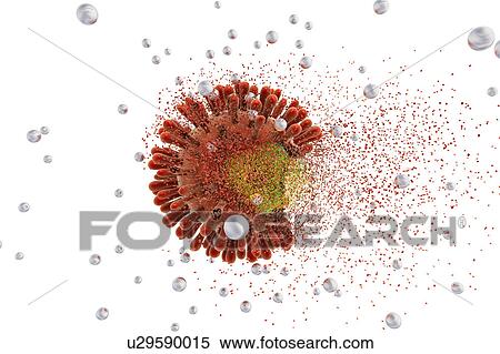 Destruction of Human Immunodeficiency Virus (HIV), computer illustration. Conceptual image for HIV-infection and AIDS treatment and prevention. View Large Photo Image Stock Photography - Destruction of Human Immunodeficiency Virus (HIV), computer illustration. Conceptual image for HIV-infection and AIDS treatment and prevention.. Fotosearch