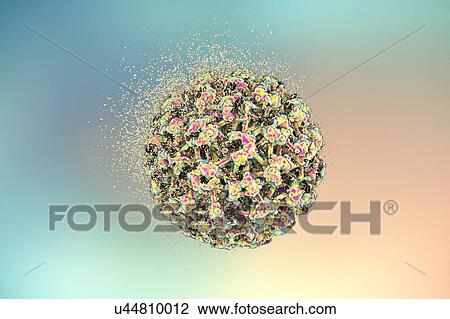Stock Image - Destruction of human papilloma virus (HPV), computer illustration. Conceptual image for papilloma virus treatment and prevention. HPV causes warts, which mostly occur on the hands and feet. Certain strains also infect the genitals. Although most warts.... Fotosearch