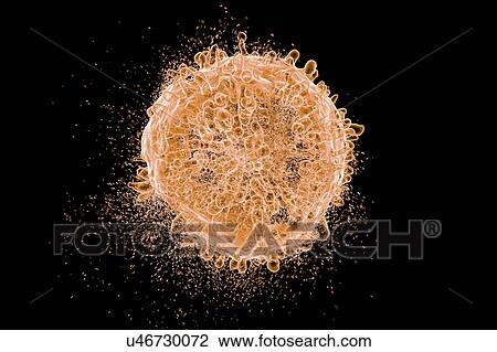 Stock Image - Destruction of leukaemia blood cell, computer illustration. Conceptual image for leukaemia treatment.. Fotosearch