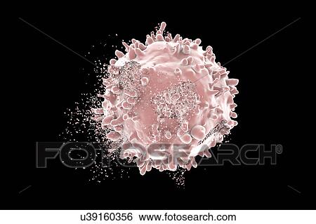 Stock Photograph - Destruction of leukaemia blood cell, computer illustration. Conceptual image for leukaemia treatment.. Fotosearch