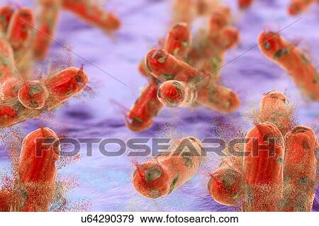 Stock Photo - Destruction of tuberculosis bacteria Mycobacterium tuberculosis, computer illustration. Conceptual image for tuberculosis treatment and prevention.. Fotosearch