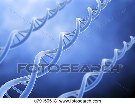Stock Photo - Dna strand against a blue background.. Fotosearch