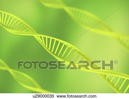 Stock Photography - Dna strand against a green background.. Fotosearch