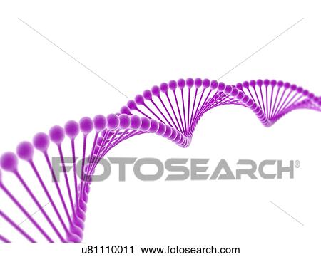 Stock Image - Dna strand against a white background.. Fotosearch
