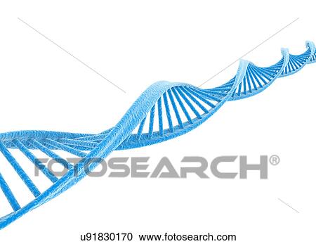 Dna strand against a white background. View Large Photo Image Stock Image - Dna strand against a white background.. Fotosearch