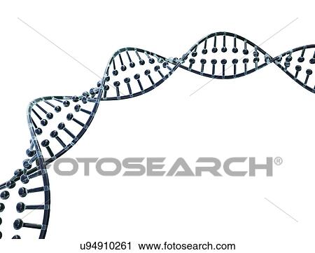 Stock Image - Dna strand against a white background.. Fotosearch