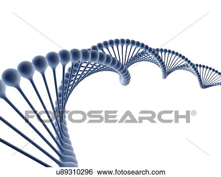 Stock Photograph - Dna strand against a white background.. Fotosearch
