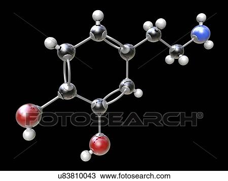 Stock Image - Dopamine. Molecular model of the organic compound domain (C8. H11. N. O2), which functions as a neurotransmitter in the brain. Dopamine, a key part of the physiology of the brain, is also used as a drug. Atoms are represented as spheres and are.... Fotosearch